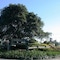 Cooroy Luxury Motel Apartments Noosa - map
