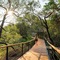 Thornybush Game Lodge - map