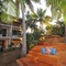 Oasis Palms Hotel - map