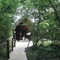 Serena Mivumo River Lodge - map