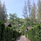 The Delight Pine Tree Village - map