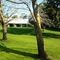 Briars Country Lodge - map