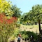 Eden Bed & Breakfast - map