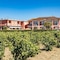 Grapevines Hotel - map