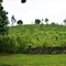 Santani Wellness Resort & Spa - map