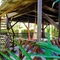Playa Grande Lodge - map