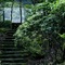 Forest Inn Imari - map