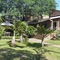 Shingalana Guest House - map