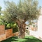 Villa Blue Coast Lagonissi - map