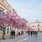 Affittacamere Da Mary - map