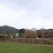 The International Cultural And Creative Bamboo Village - map