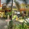 P&M Final Option Beach Resort - map