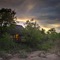 Sabi Sabi Little Bush Camp - map