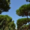 Camping Maïana Resort - map