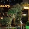 Hotel On7 Sakarya - map