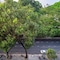 Nta Hotel - Serviced Apartments - map