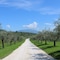 Borgo Romantico Green Relais - map