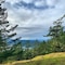 Otters Pond Bed & Breakfast - map