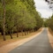 Renmark Country Club - map