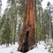 Hampton Inn Oakhurst-Yosemite - map