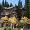 Settlers Creek 6565 - map