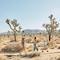 Autocamp Joshua Tree - map