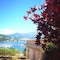 Bello!Lake Como Suites - map