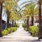 Camping Tres Estrellas Mediterráneo - map