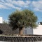Santa Irina Sunny Loft Suites - map