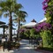 Emelda Sun Club - map