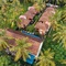 Sadev Resort - map