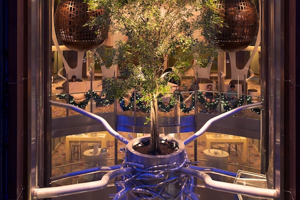Foto Celebrity Reflection 25