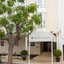 Hotel Menorca Patricia