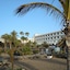 Vik Hotel San Antonio