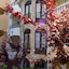 Apartaments Comte D'empuries