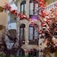 Apartaments Comte D'empuries