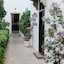 Fontecruz Sevilla Seises