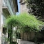 Hotel Toural