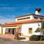 Vila Gale Alentejo Vineyard