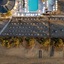 Domes Aulus Zante Autograph Collection