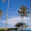 Alila Manggis