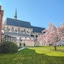 Martin's Klooster