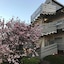 Campanile Nature - Cergy Pontoise
