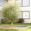Hotel The Originals Tours Nord La Terrasse