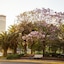 Park Tower, A Luxury Collection Hotel