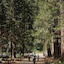 Tenaya Lodge At Yosemite