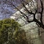 Habita, Mexico City, A Member Of Design Hotels