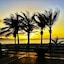 Brisamar Canteras