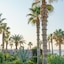 Ikaros Beach Luxury Resort & Spa