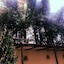 Hotel Cimabue